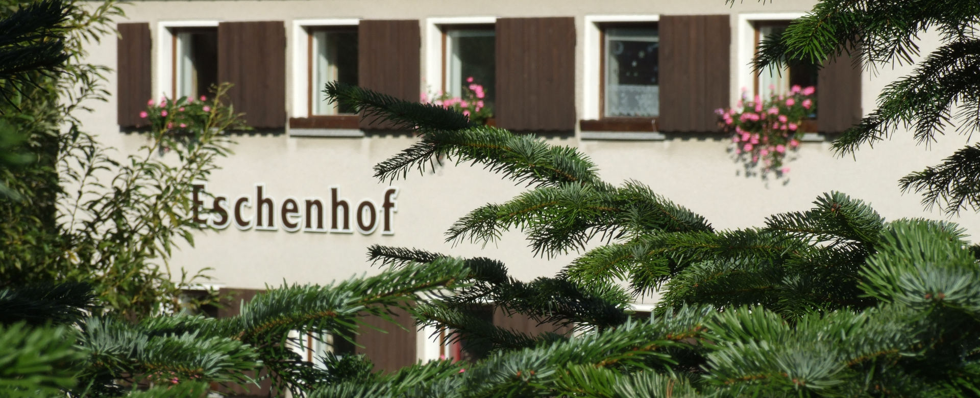 Pension Eschenhof Holzhau skilift blockline freiberger eisenbahn kammweg matthias wagner